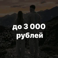 до 3 000 рублей