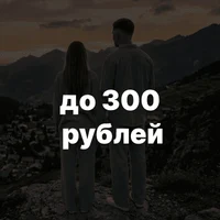 до 300 рублей